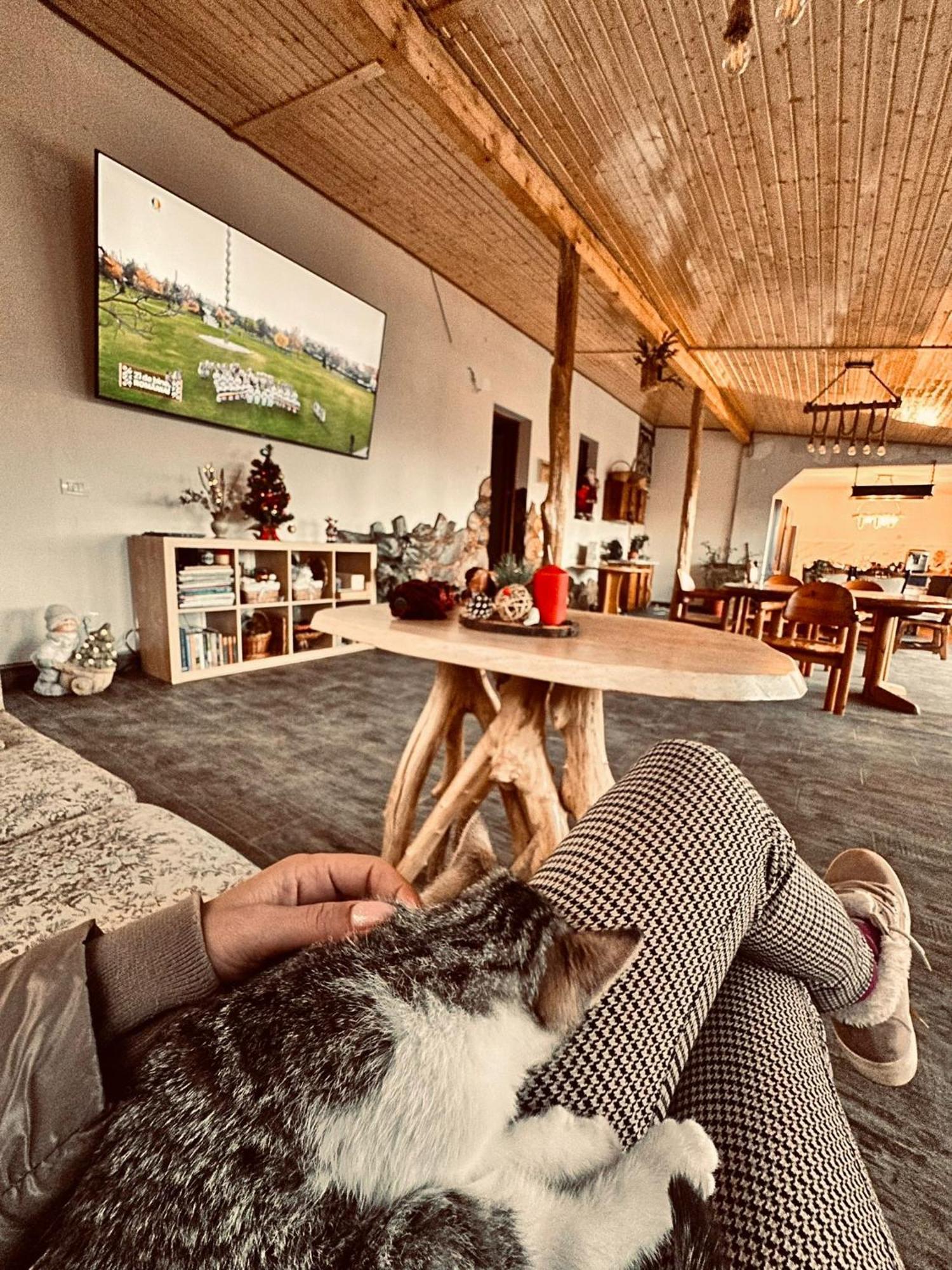 Pensiunea Salas Salasu de Sus Bagian luar foto