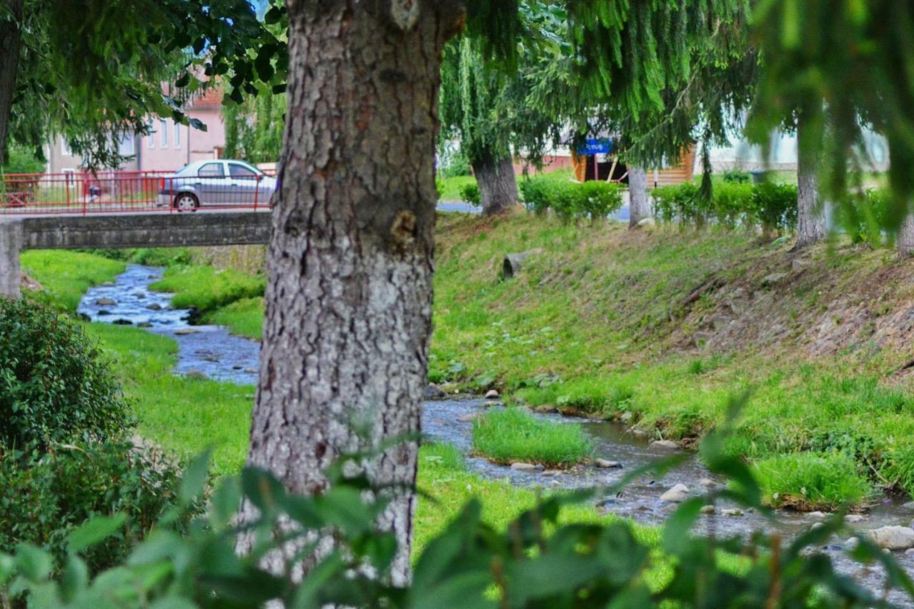 Pensiunea Salas Salasu de Sus Bagian luar foto