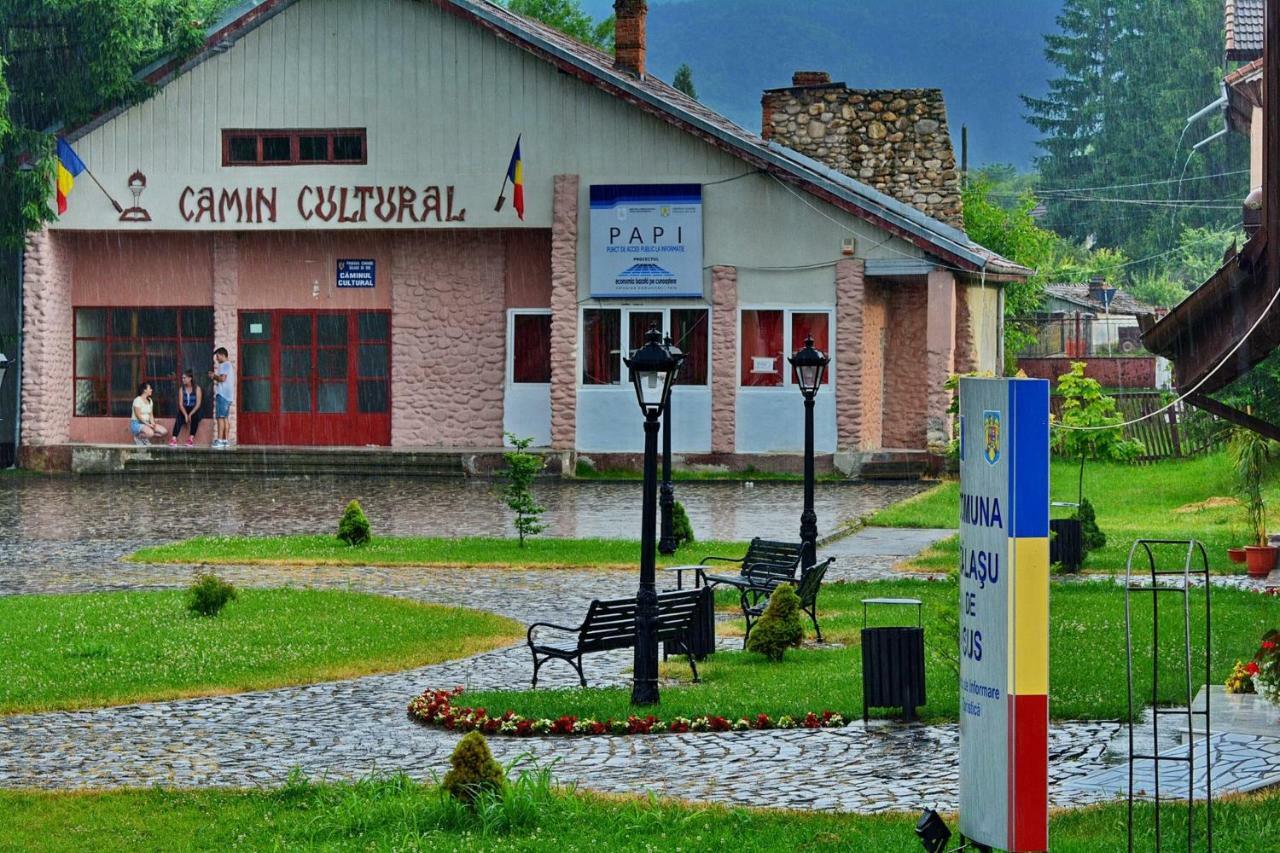 Pensiunea Salas Salasu de Sus Bagian luar foto