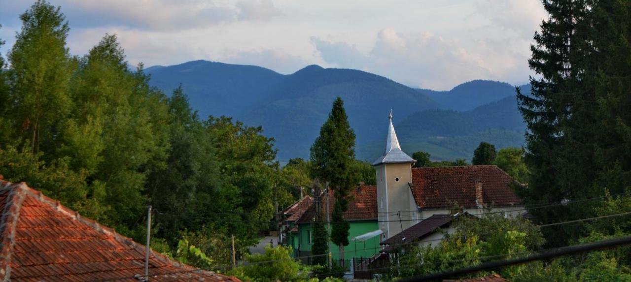 Pensiunea Salas Salasu de Sus Bagian luar foto