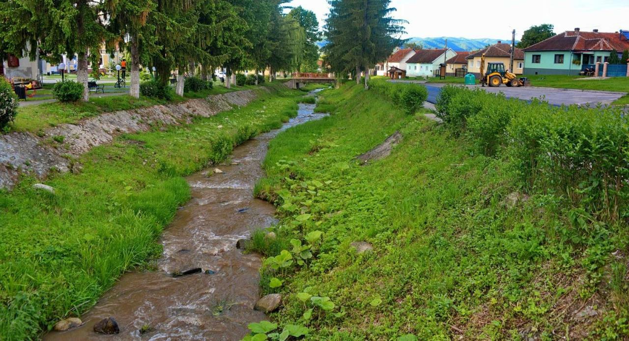 Pensiunea Salas Salasu de Sus Bagian luar foto
