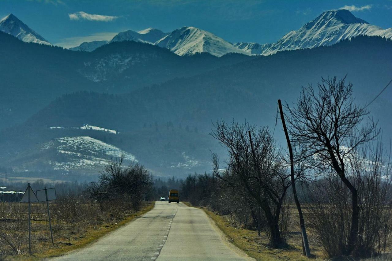 Pensiunea Salas Salasu de Sus Bagian luar foto
