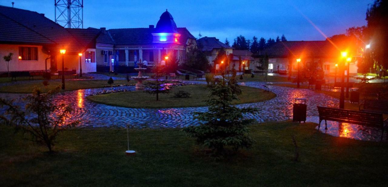 Pensiunea Salas Salasu de Sus Bagian luar foto